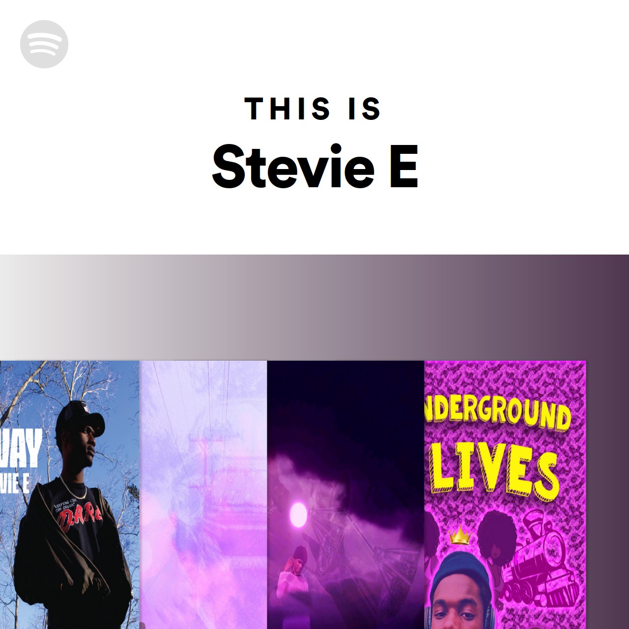 This Is Stevie E | Spotify Playlist