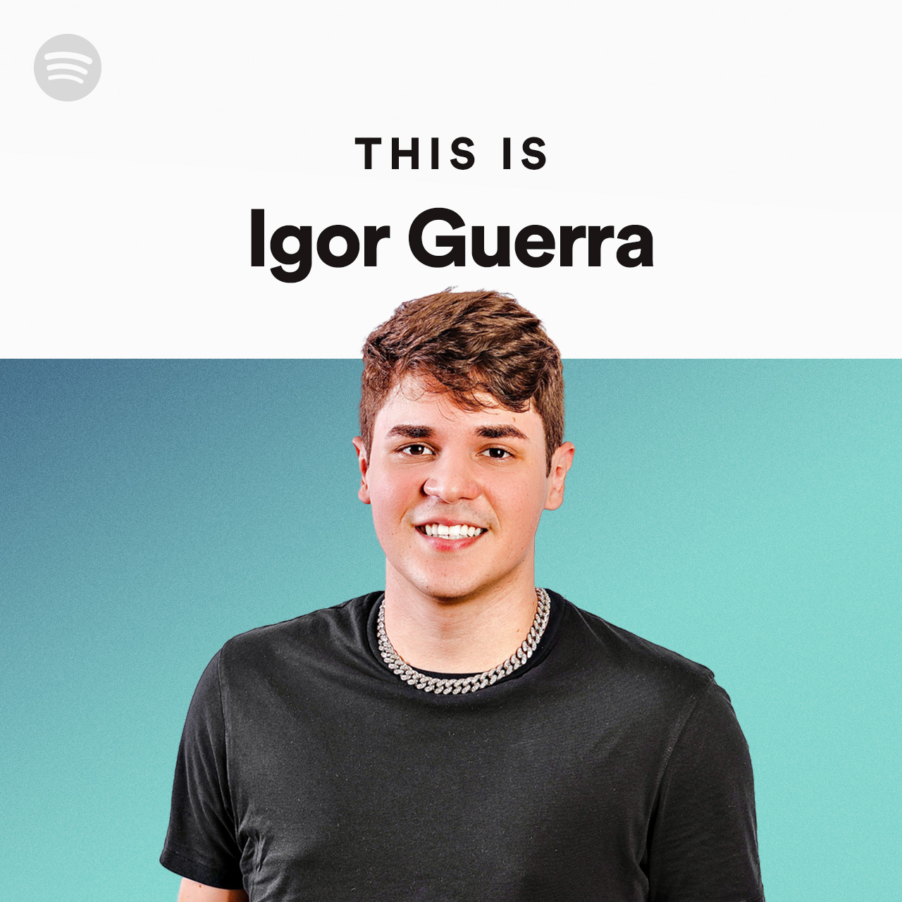 This Is Igor Guerra Spotify Playlist