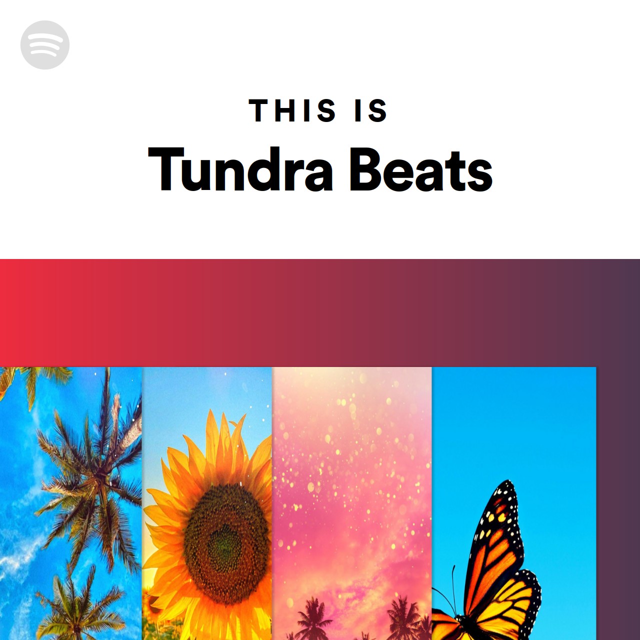 This Is Tundra Beats Spotify Playlist