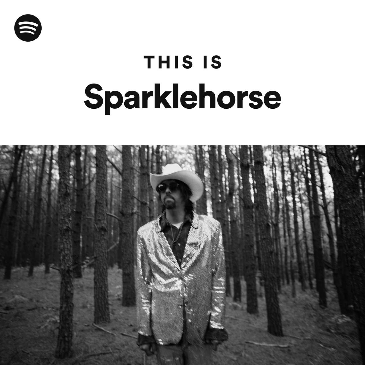 This Is Sparklehorse Spotify Playlist