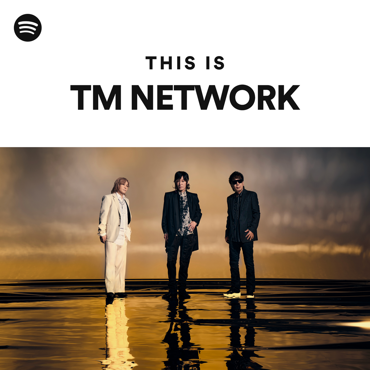 Tm Network Spotify