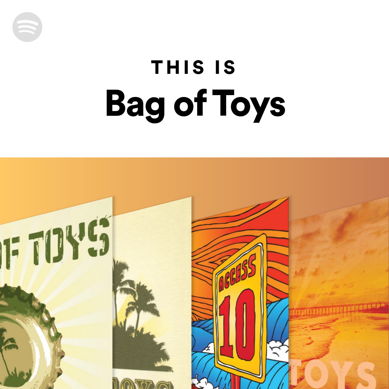 This Is Bag of Toys