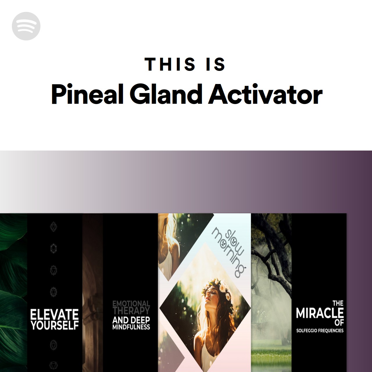 this-is-pineal-gland-activator-spotify-playlist