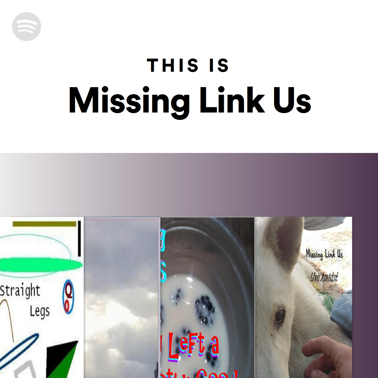 This Is Missing Link Us | Spotify Playlist