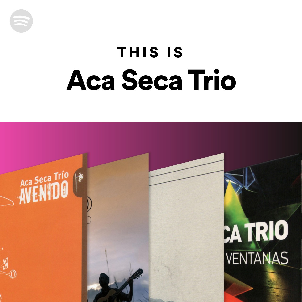 This Is Aca Seca Trio