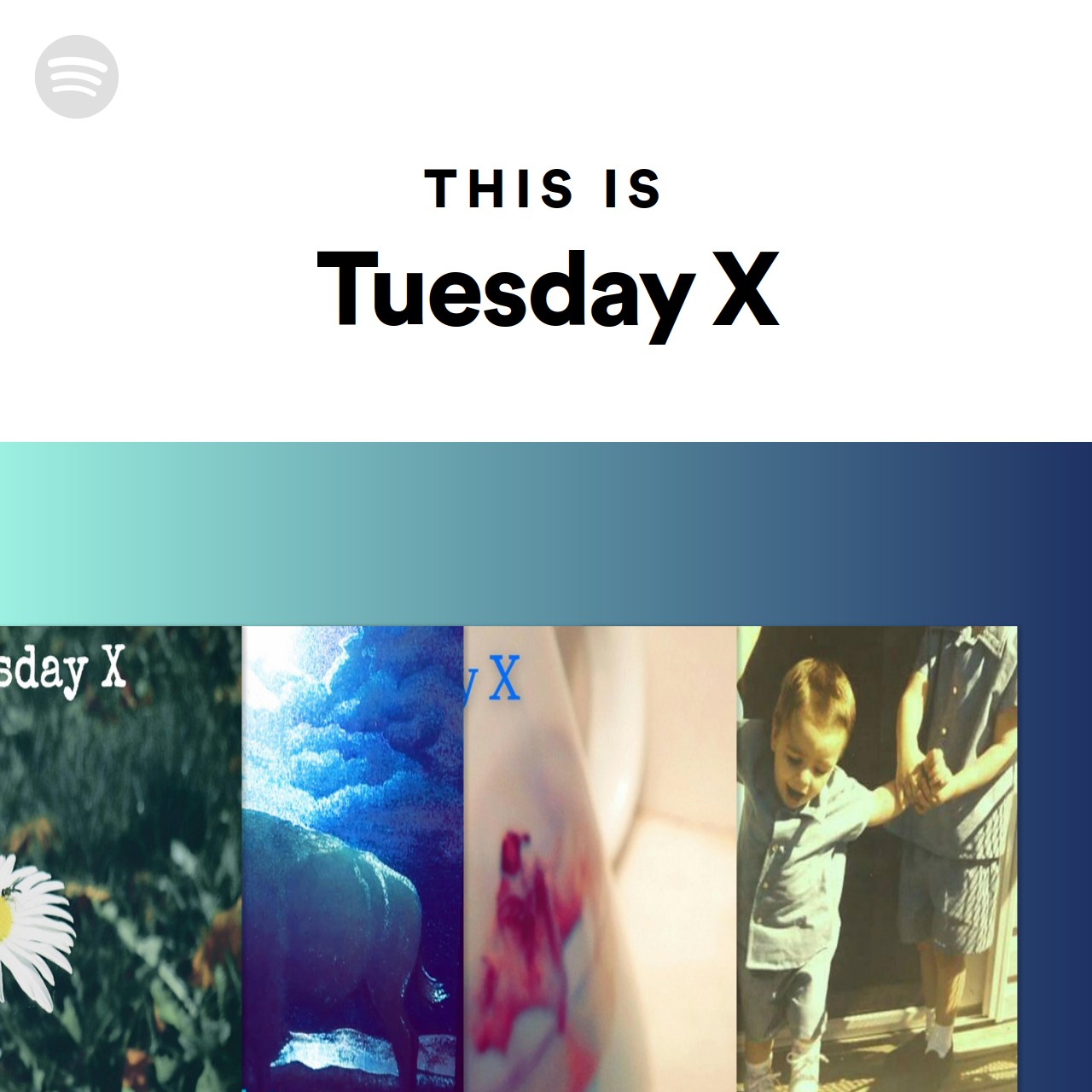 this-is-tuesday-x-spotify-playlist