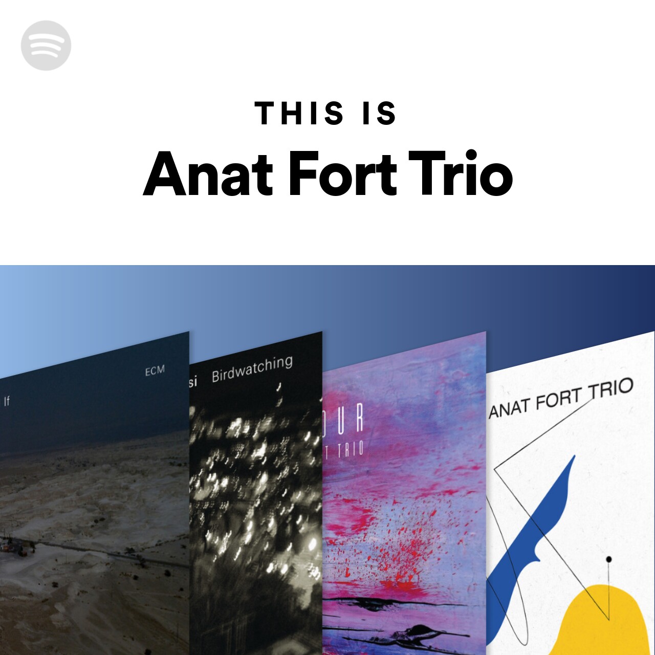 This Is Anat Fort Trio
