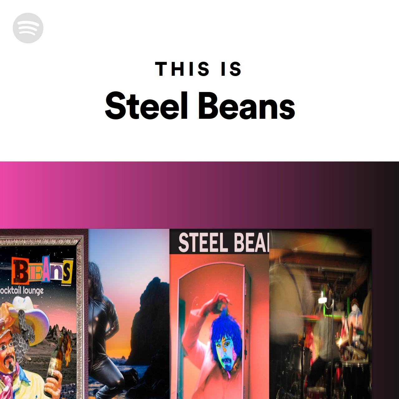 This Is Steel Beans Spotify Playlist