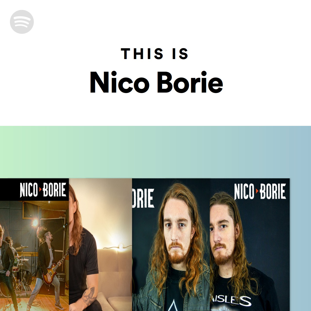 This Is Nico Borie | Spotify Playlist