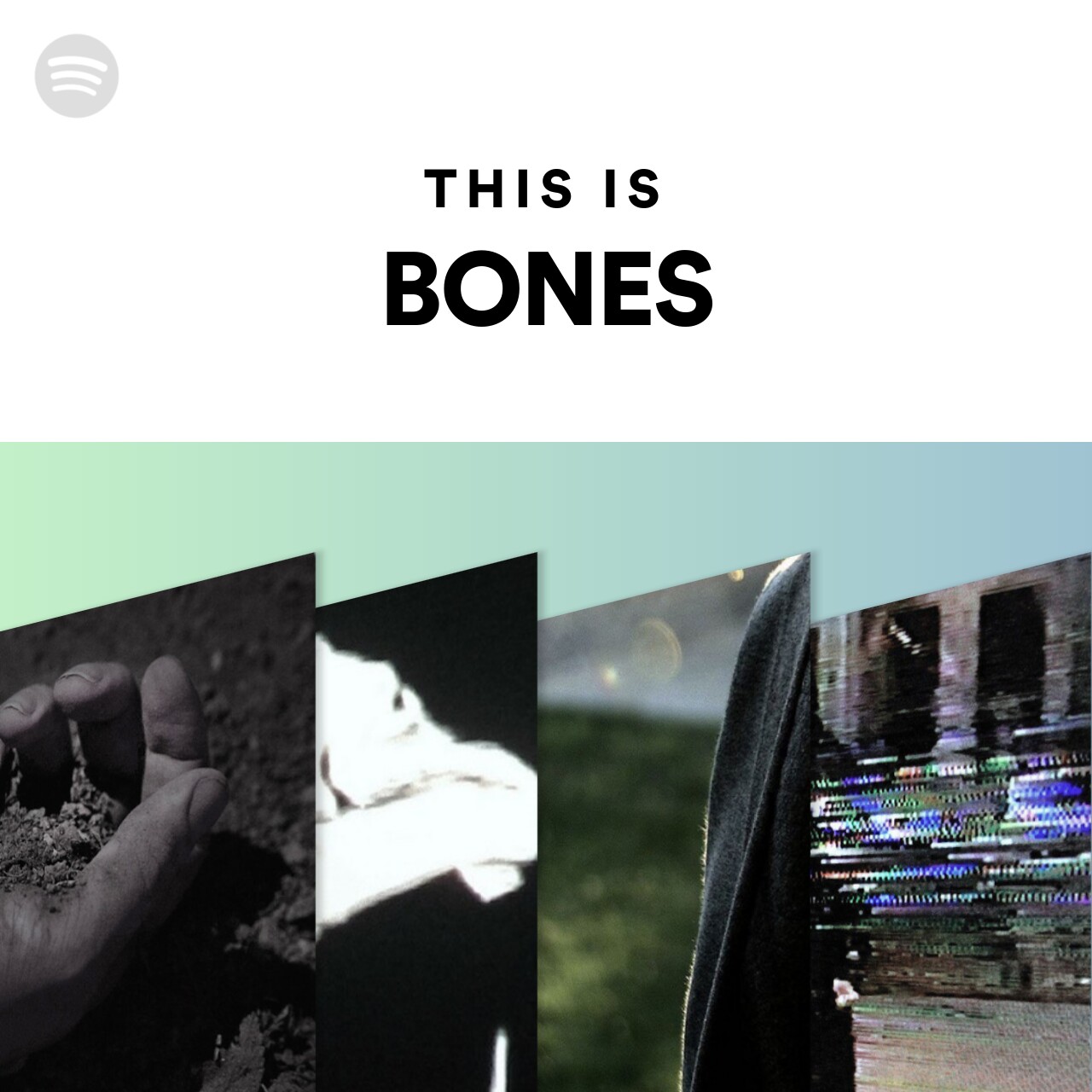 This Is BONES Spotify Playlist