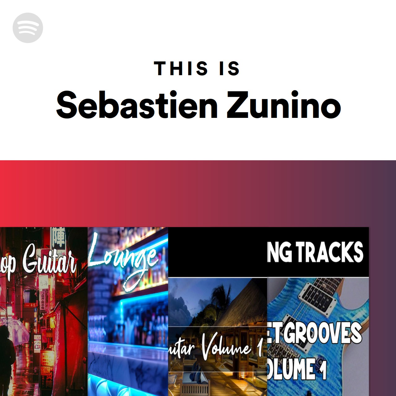 This Is Sebastien Zunino | Spotify Playlist