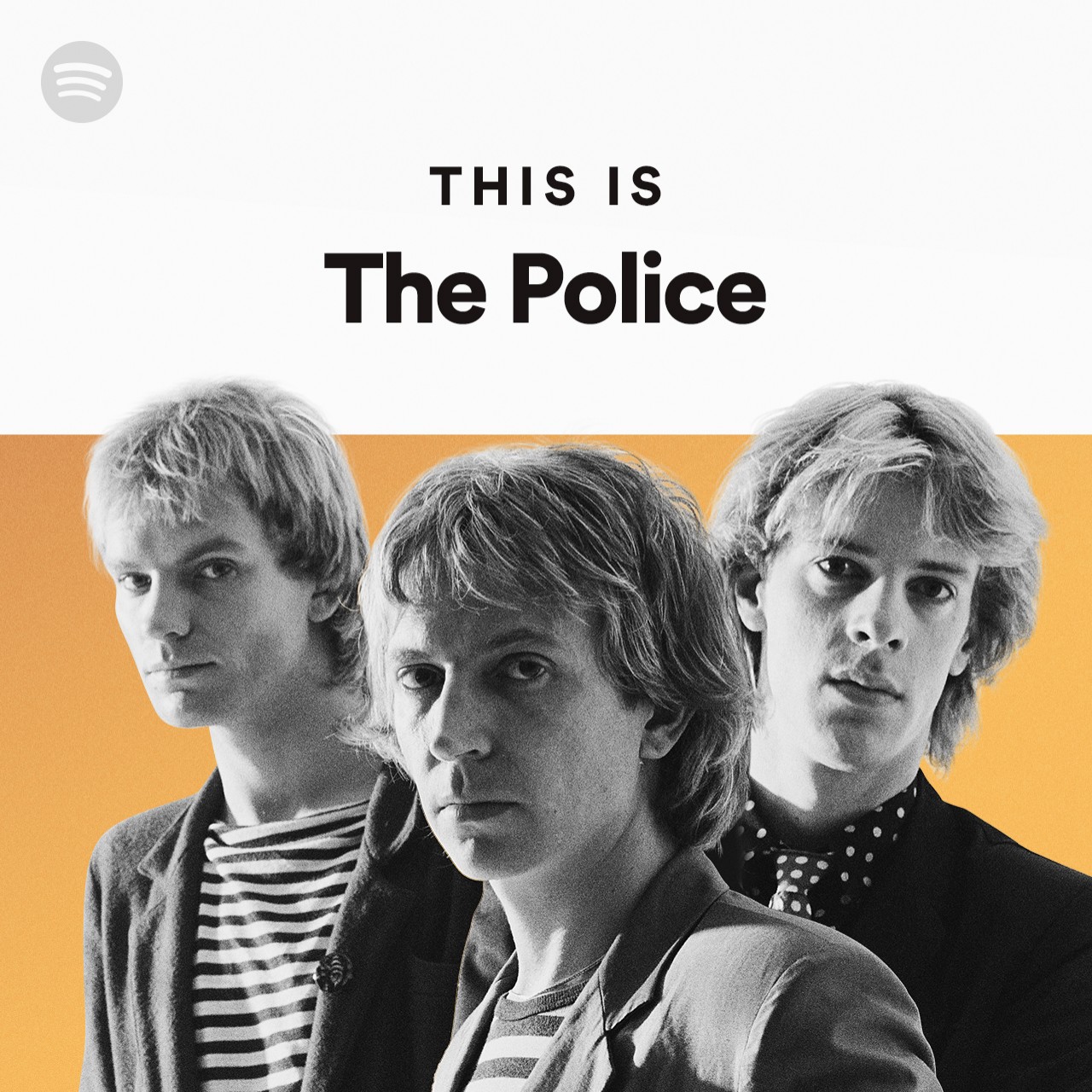 cant open spotify wrapped