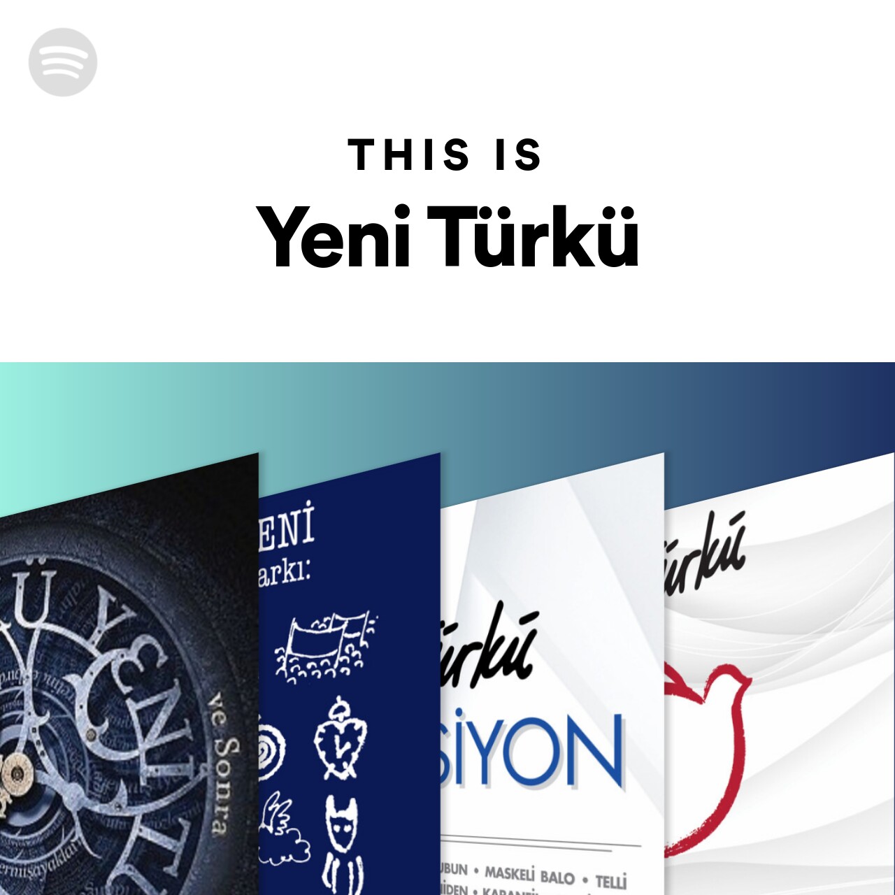 This Is Yeni Türkü