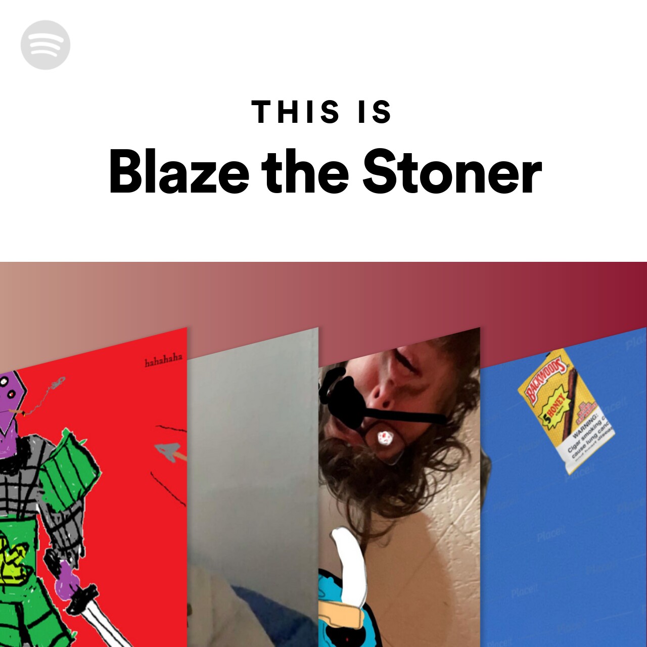 This Is Blaze the Stoner