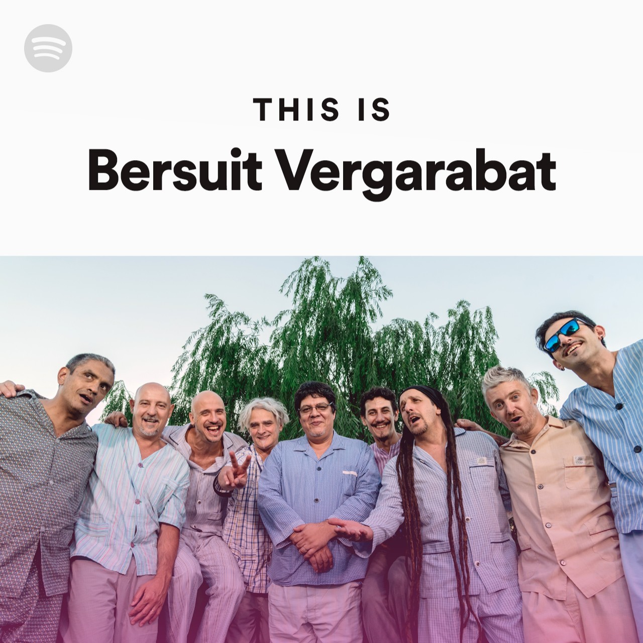 This Is Bersuit Vergarabat