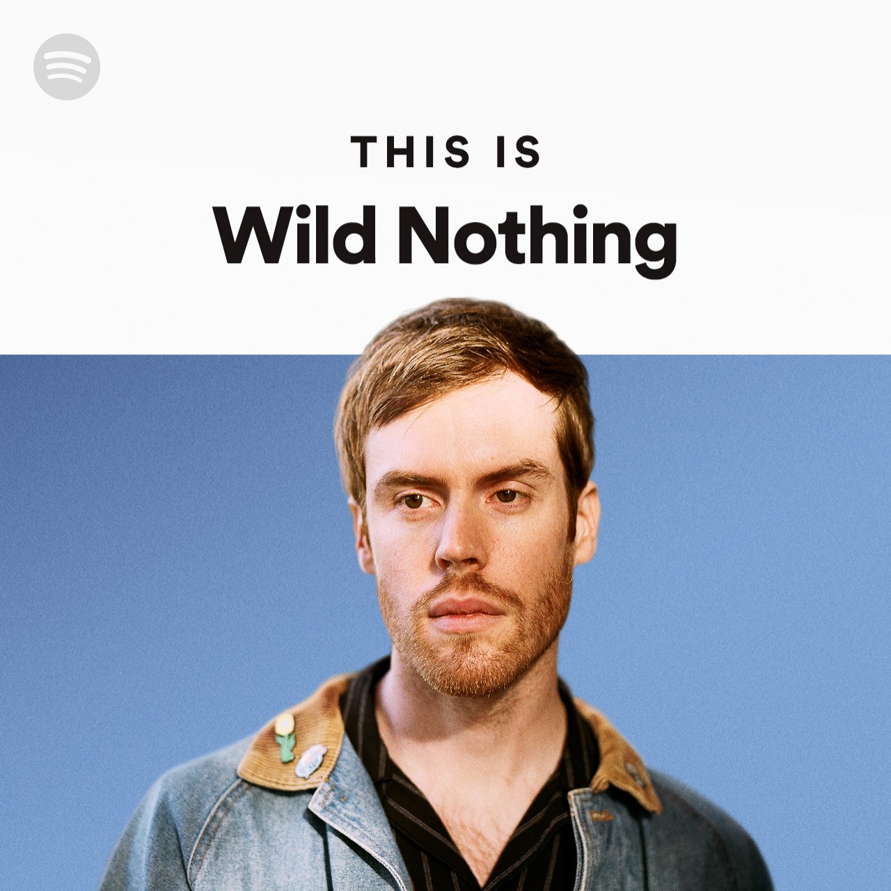 This Is Wild Nothing Spotify Playlist