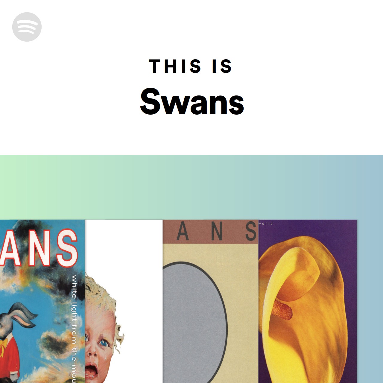 lunacy swans lunacy swans