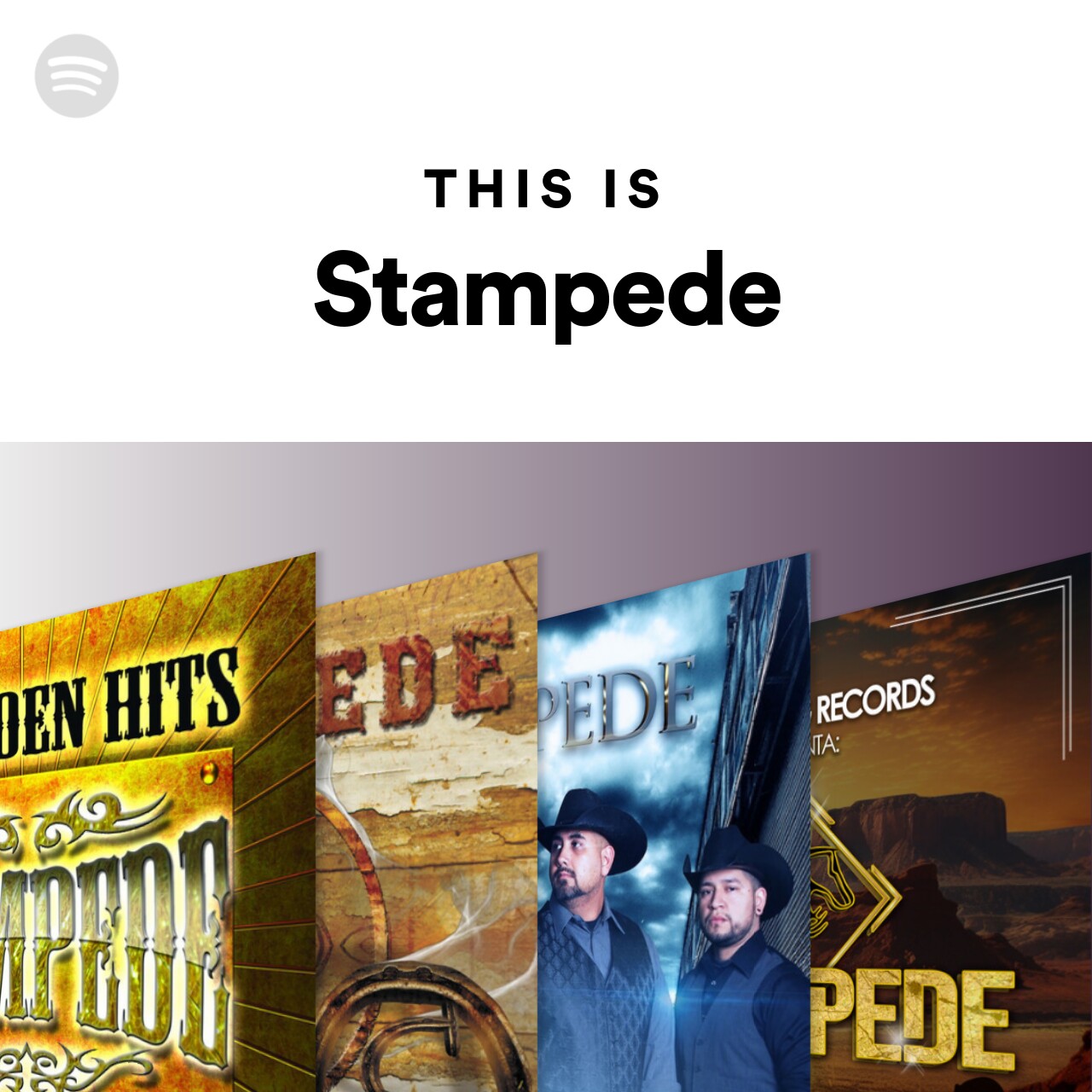 This Is Stampede Spotify Playlist