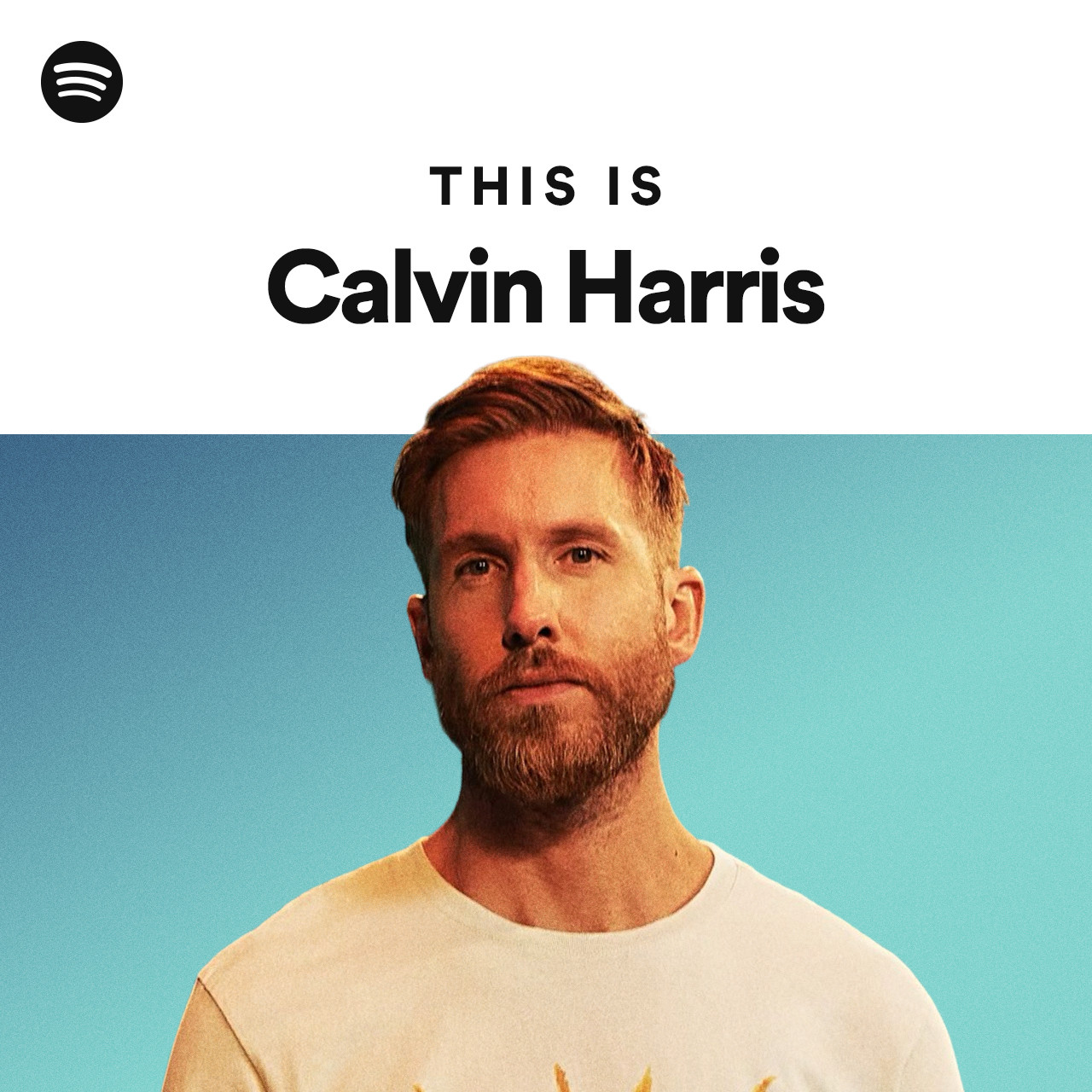 This Is Calvin Harris playlist by Spotify Spotify