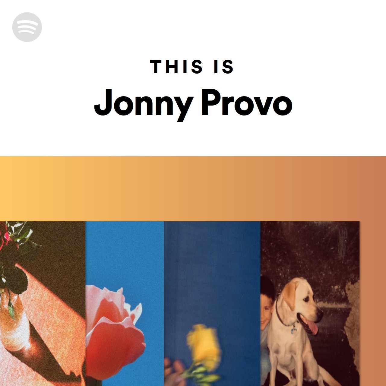 This Is Jonny Provo | Spotify Playlist
