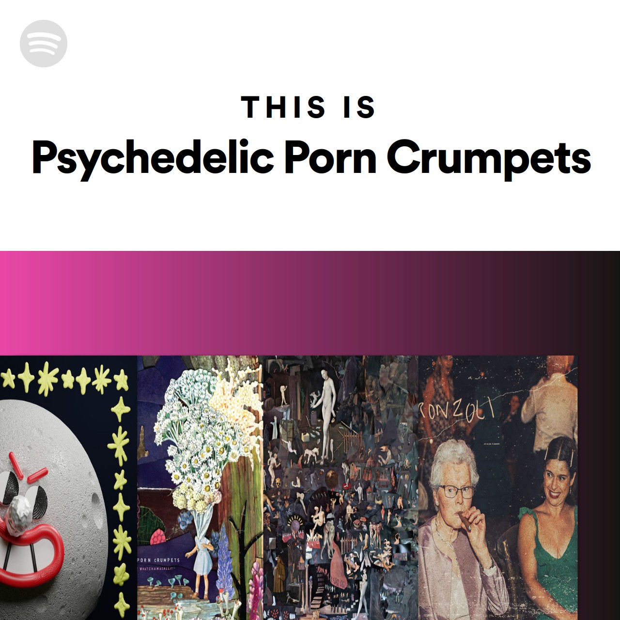 This Is Psychedelic Porn Crumpets | Spotify Playlist